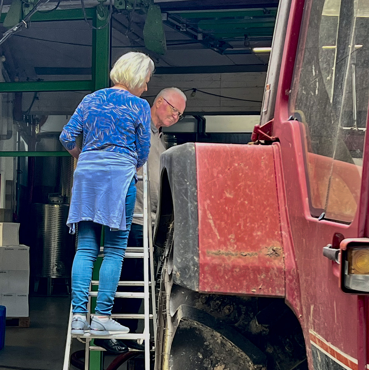 Gitte og Aksel Kiilerich står på en stige og inspicerer druehøsten